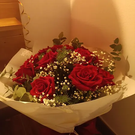 Casa Maria Barcia (Asturias)